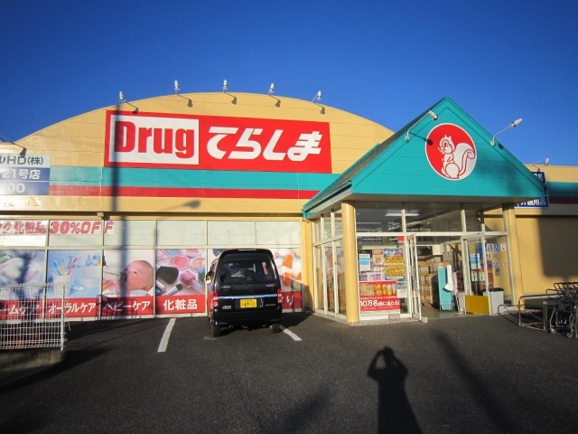 Dorakkusutoa. Drag Terashima Ushiku Kamikashiwada shop 445m until (drugstore)