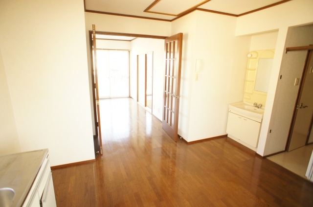 Living and room. Stylish living room door