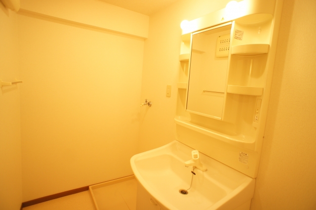 Washroom. Washbasin with shower