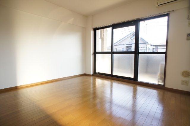 Living and room. Sunny living