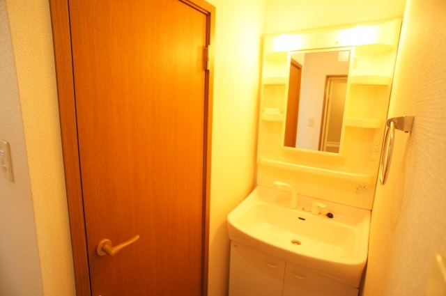 Washroom. Washbasin with shower