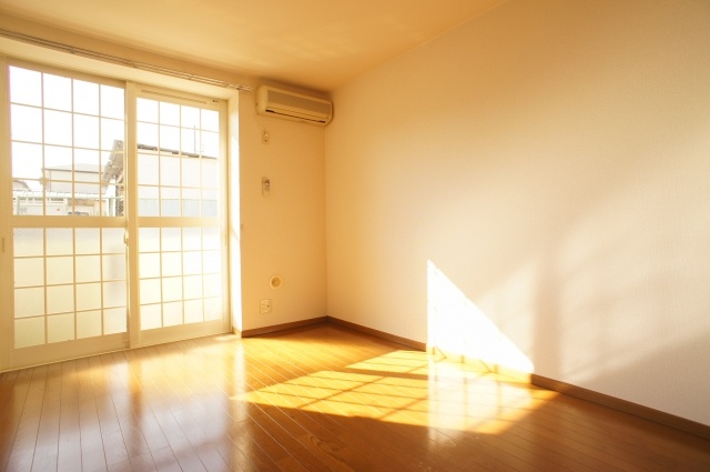 Living and room. Sunny living