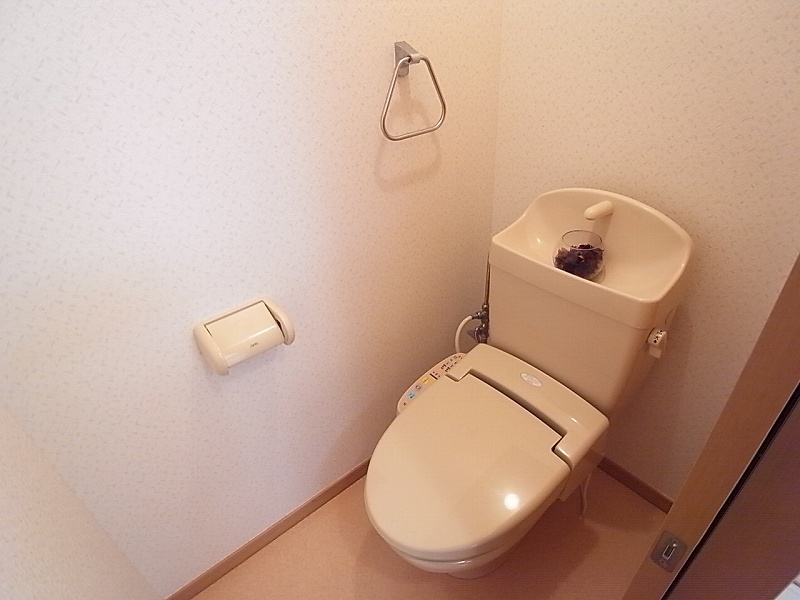 Other. It is a warm water washing toilet seat. 