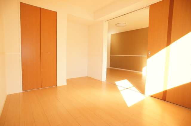 Living and room. Large closet equipped