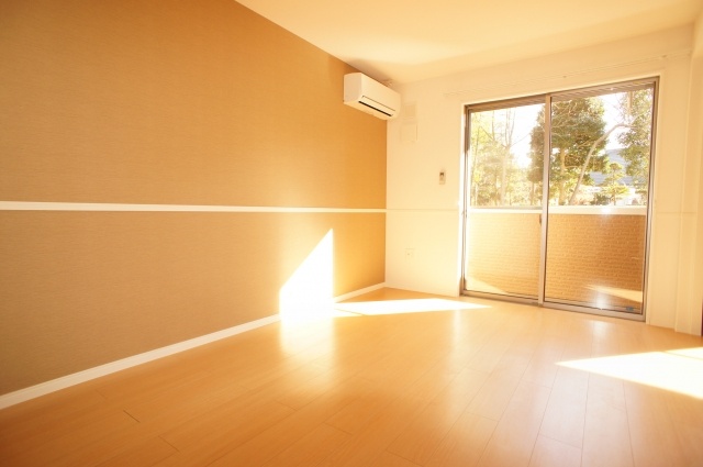 Living and room. Sunny living