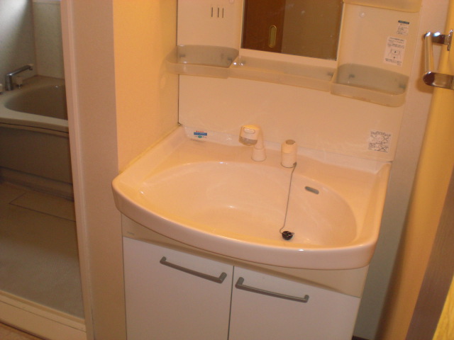 Washroom. Washbasin with shower