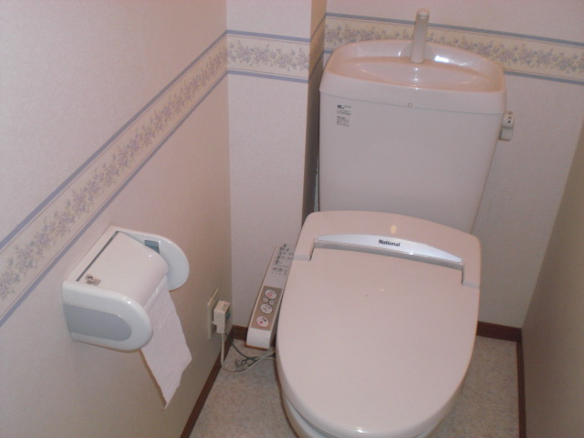 Toilet. Toilet with warm water washing toilet seat