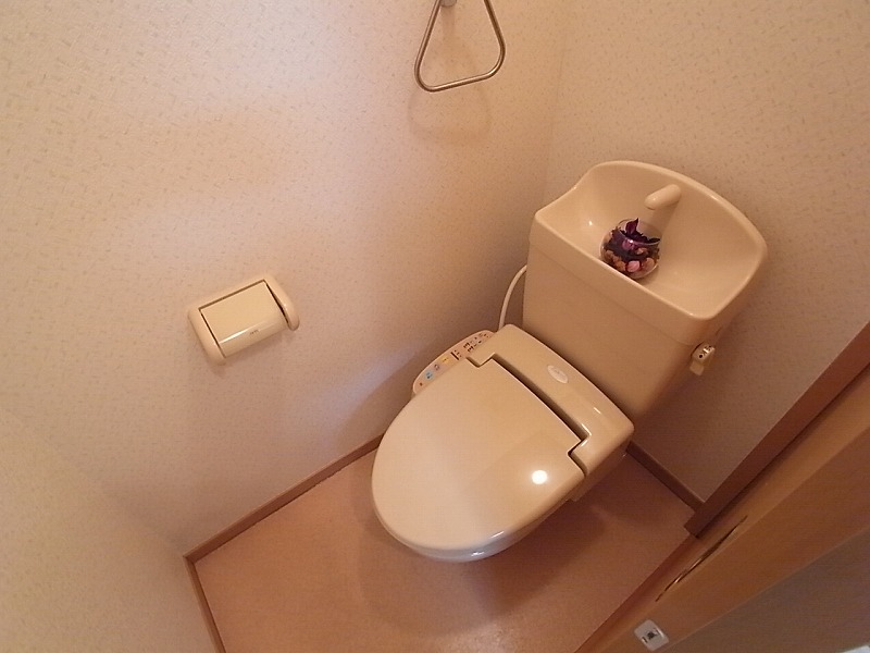 Toilet. Warm water washing toilet seat