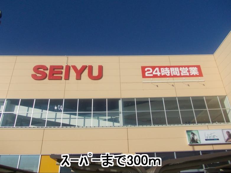 Supermarket. Seiyu 300m until the (super)