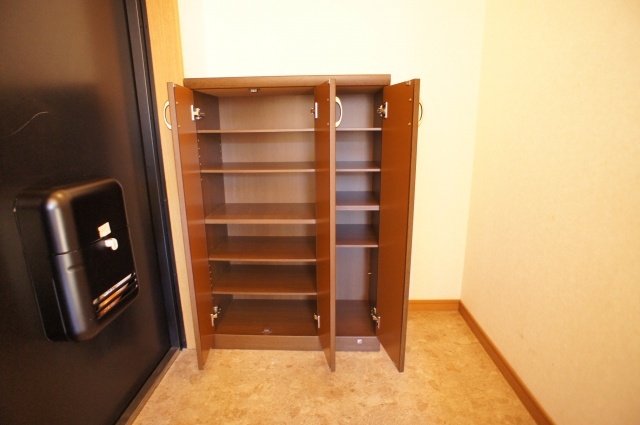 Entrance. In shoe box