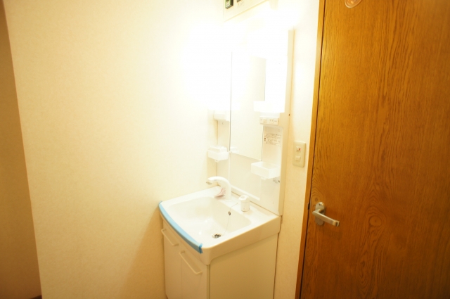 Washroom. Washbasin with shower