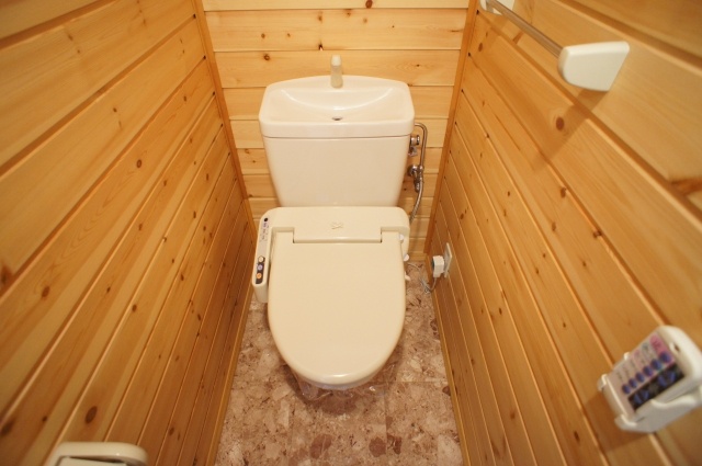 Toilet. Washlet equipped