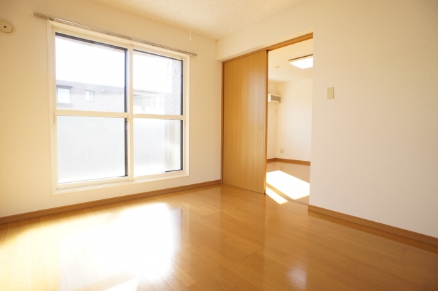 Living and room. Sunny living