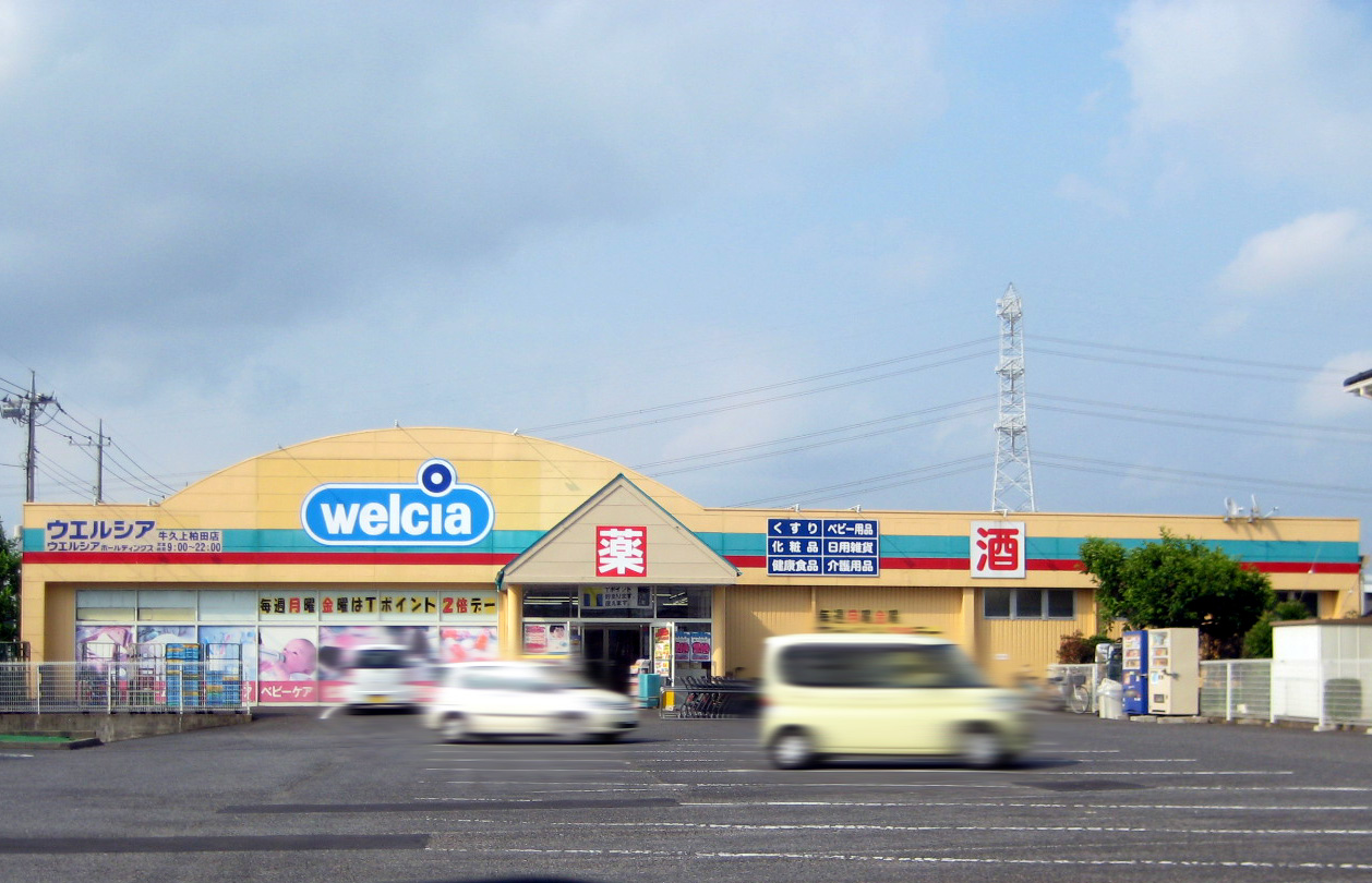 Dorakkusutoa. Drag Terashima Ushiku Kamikashiwada shop 811m until (drugstore)