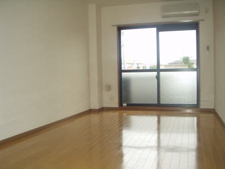 Living and room. Living