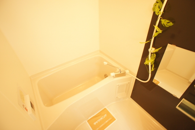 Bath. Bathing with reheating hot water supply