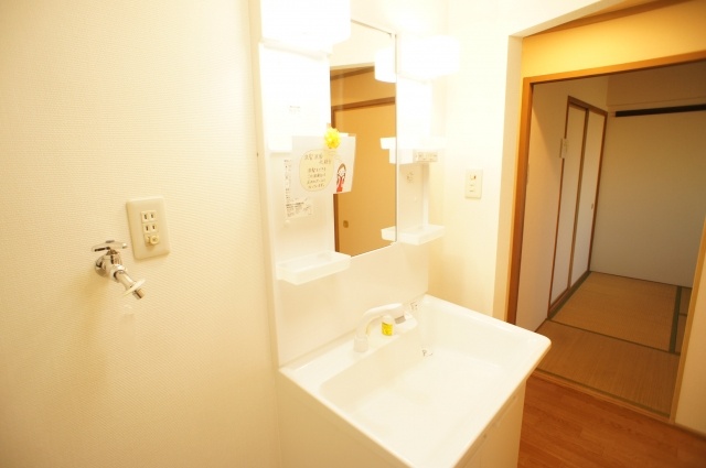 Washroom. Washbasin with shower