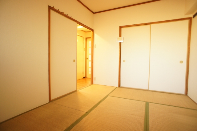 Living and room. With convenient closet