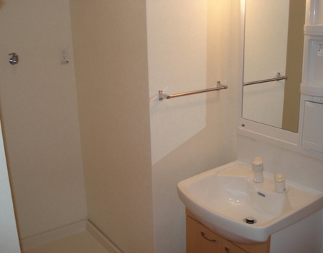 Washroom. Washbasin with shower