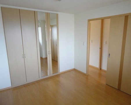 Living and room. Large closet with attached mirror