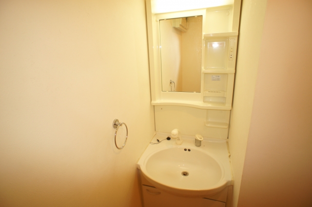 Washroom. Washbasin with shower