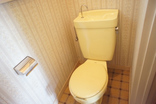 Toilet. Toilet with a window