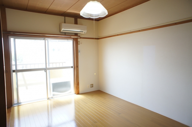 Living and room. South-facing bright living