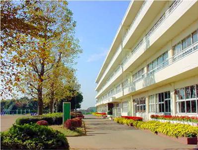 Junior high school. Ushiku stand Ushiku third junior high school (junior high school) up to 495m