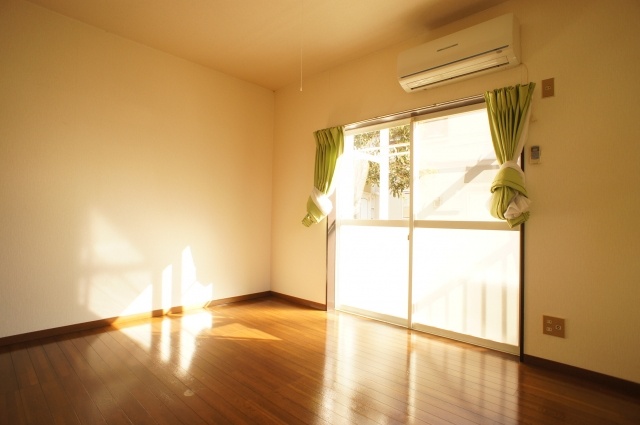 Living and room. Sunny living