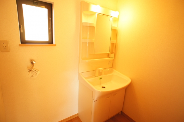 Washroom. Shower dresser equipped