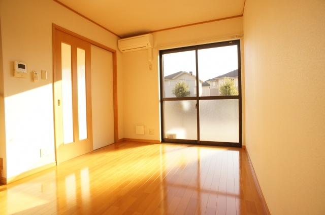 Living and room. Sunny living