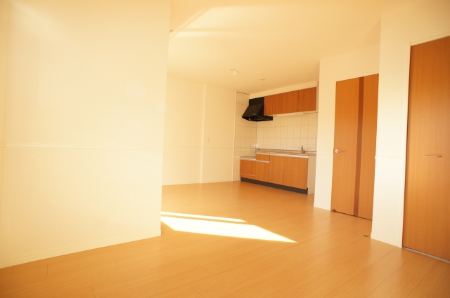 Living and room. Storage rich interior