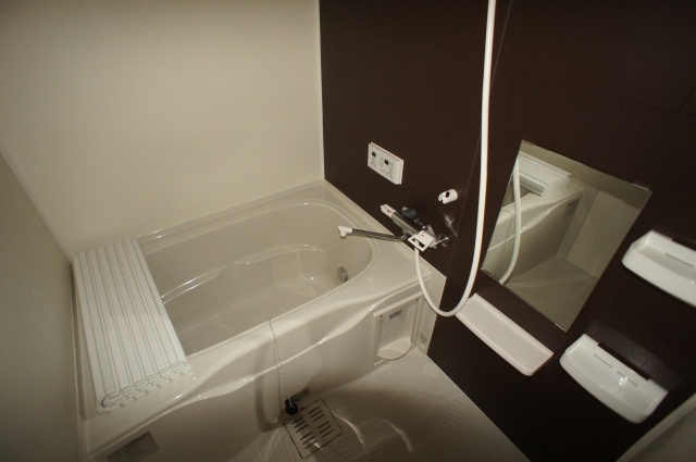 Bath. Bathroom Dryer & chase with burning hot water bath