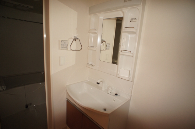 Washroom. Washbasin with shower