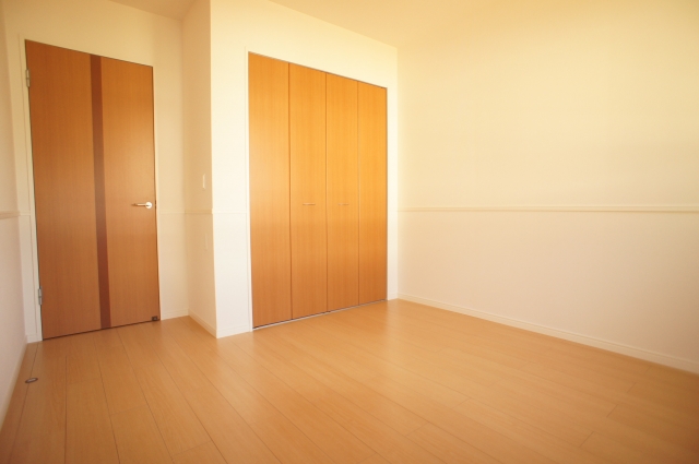 Living and room. Large closet equipped