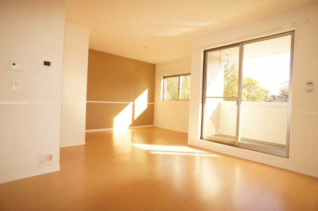 Living and room. Sunny living