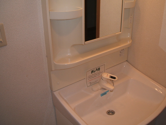 Washroom. Washbasin with shower