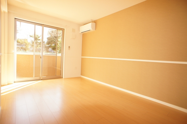 Living and room. Sunny living