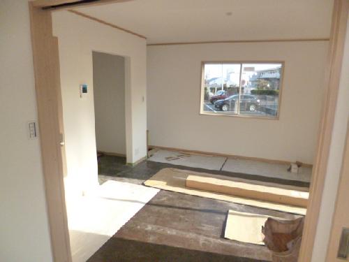 Living and room. Living