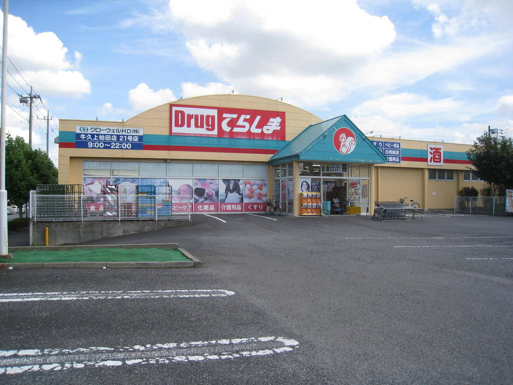 Dorakkusutoa. Drag Terashima Ushiku Kamikashiwada shop 737m until (drugstore)