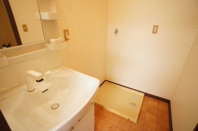 Washroom. Washbasin with shower