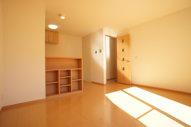 Living and room. Display with storage of living