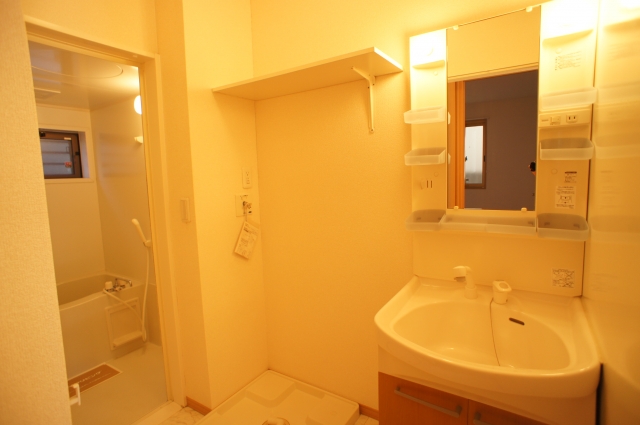 Washroom. Washbasin with shower