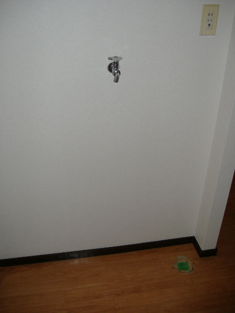 Other. There is a washing machine storage room