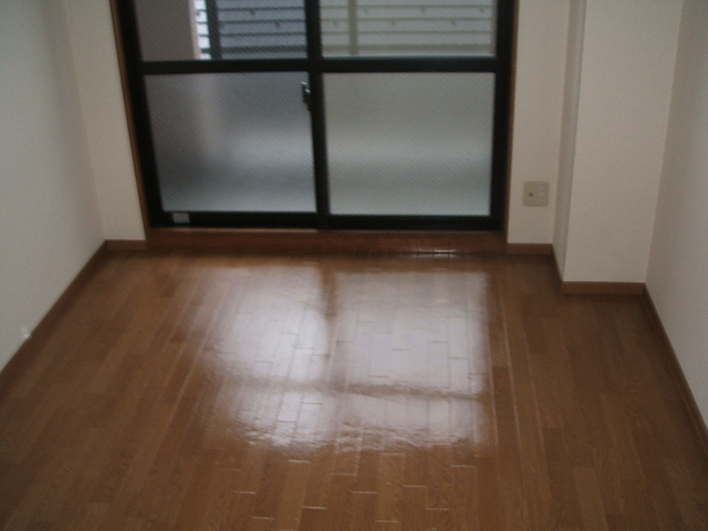 Living and room. Sunny living