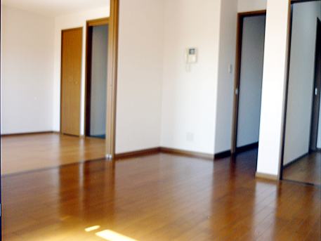 Living and room. Living