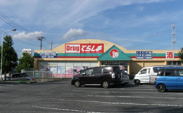 Dorakkusutoa. Drag Terashima Ushiku Kamikashiwada shop 478m until (drugstore)