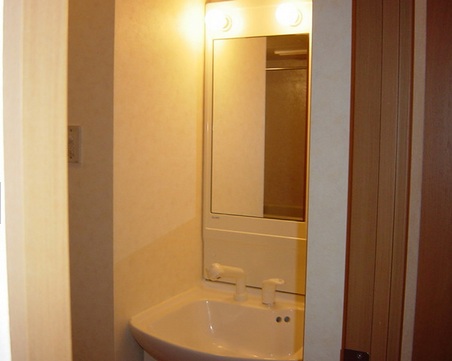 Washroom. Washbasin with shower