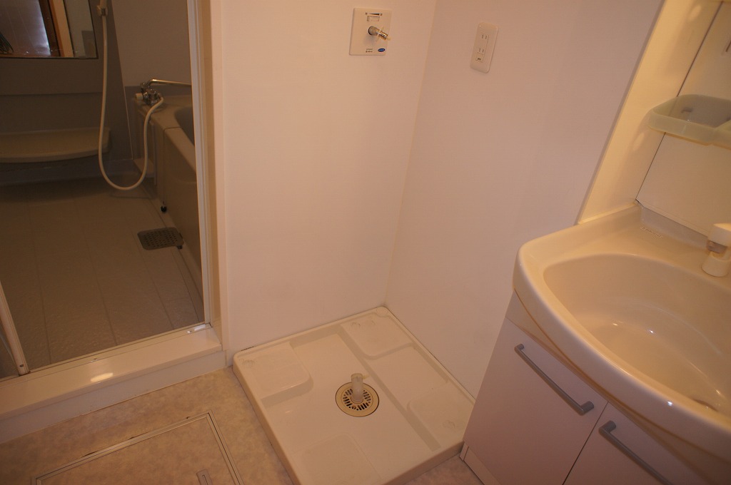 Washroom. Indoor Laundry Storage