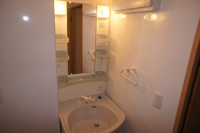 Washroom. Washbasin with shower